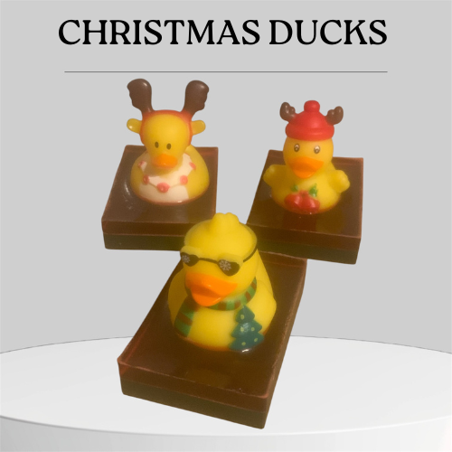 Christmas Duck soap