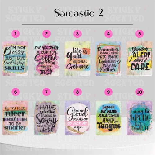 Sarcastic collection car air freshener